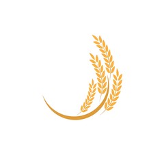 Agriculture wheat Logo Template vector icon