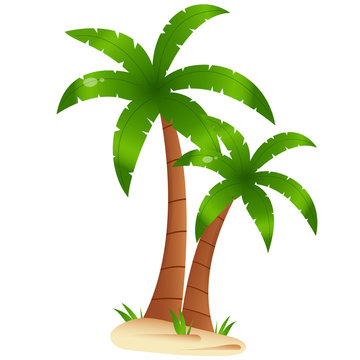 Color image of cartoon palm tree on white background. Plants. Vector illustration for kids.