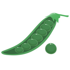 Color image of green pea pod on white background. Plants. Vector illustration.