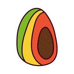 Isolated peach palm fruit vector design