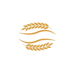 Agriculture wheat Logo Template vector icon
