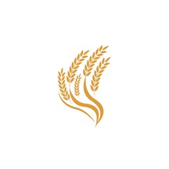 Agriculture wheat Logo Template vector icon