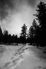 winter in ariege