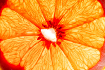 closeup of orange