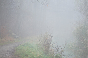Autumn forest road in dense fog