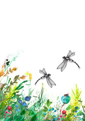 Watercolor illustration. background with  floral pattern - grass, wild plants of green color. Watercolor card, postcard, invitation. Dragonfly flies   insects, moths. Summer landscape.