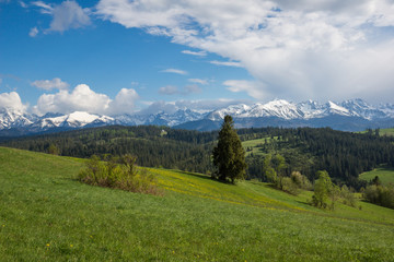 Panorama of snowy Tatra mountains in spring from Gliczarow Gorny, Malopolskie, Poland