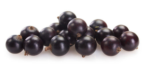 Black currant on white background
