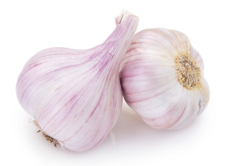Fresh garlic on white background