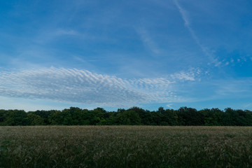 landscape with blue sky and clouds