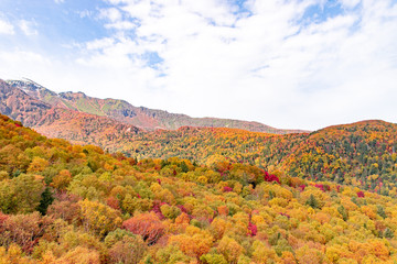 大雪山　黒岳の紅葉
