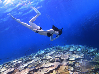 珊瑚の上を泳ぐビキニの女性