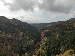 Obraz premium Autumn landscape