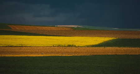 Obraz premium Color lists formed by crops