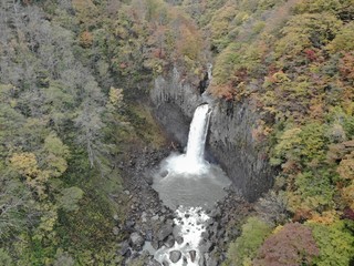 Waterfall in forest