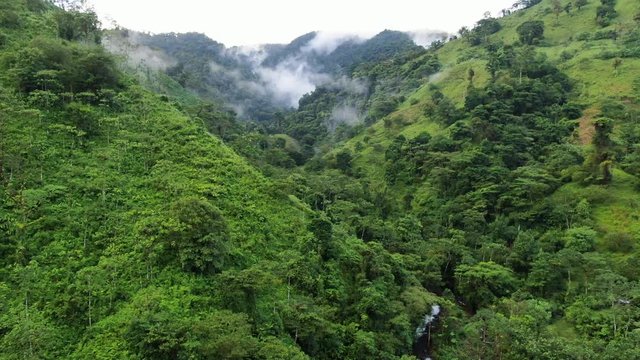Cinematic mood shot, jurassic park rainforest jungle setting with clouds in valley