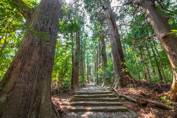 Fototapeta premium Beautiful famous landmark waterfall Nachi Falls in green forest blue sky Nachikatsuura Wakayama Prefecture Japan Nachi Fall is one of the best waterfalls in Japan idea for rest relax enjoy lifestyle
