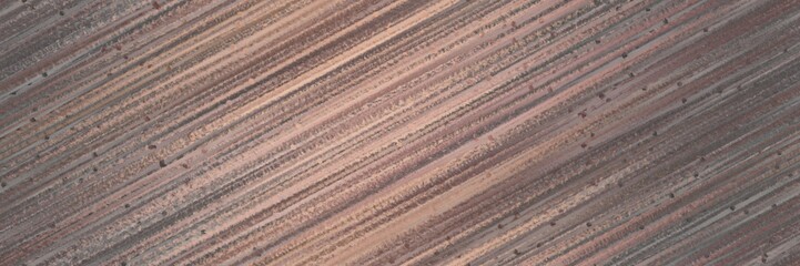 seamless repeating design graphic with diagonal color lines background old lavender, tan and baby pink colors