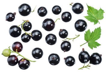 Lot of black currants berries on the white background.