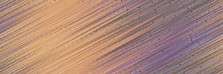 seamless pattern colorful graphic with diagonal color lines background rosy brown, dim gray and old lavender colors