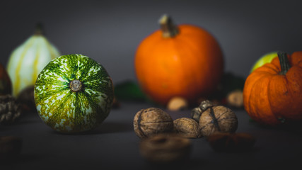 Thanksgiving Autumn moody setting with walnuts and gourd 