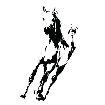 Hand drawn horse vector isolated on a transparent background