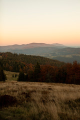 Obraz premium Majestic sunset in the mountains landscape. Sunset above hills and peaks, forest and yellow grass meadows.
