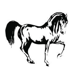 Hand drawn horse vector isolated on a transparent background