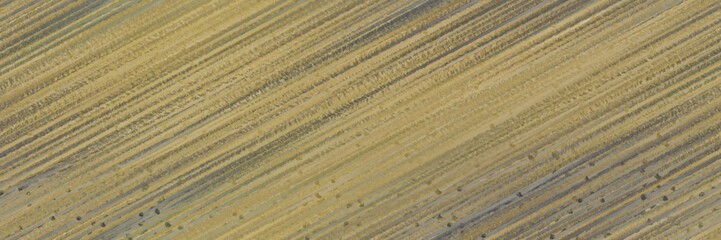 diagonal color lines background gray gray, dark olive green and pastel brown colors. seamless repeating graphic can be used for wallpaper, background or textile fashion