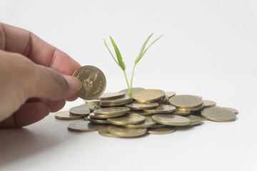 Green plant growing on stacked coin, business, financial, banking saving concept.