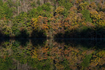 リフレクション