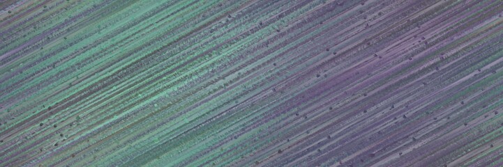 seamless pattern graphic with diagonal color lines background old lavender, slate gray and dark sea green colors