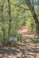 Trail to the mushroom rock on the Cannibal Hiking Trail