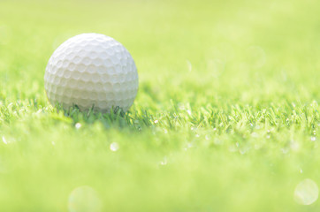 golf ball on green grass with copy space