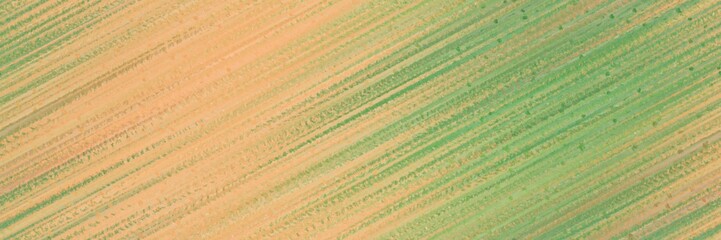 seamless repeating design graphic with diagonal color lines background dark khaki, burly wood and moderate green colors