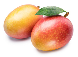 Mango fruits with mango leaf on a white background. File contains clipping path.