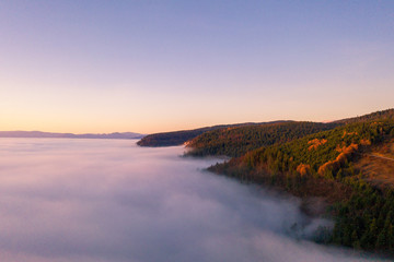 Fototapeta na wymiar Amazing aerial view of foggy and colorful forest on sunrise. Autumn landscape. Drone shot