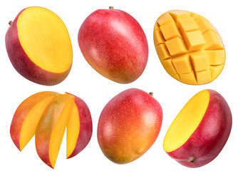 Set of mango fruits, mango cubes and slices on a white background. File contains clipping path.