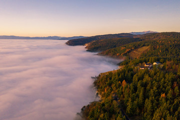 Amazing aerial view of foggy and colorful forest on sunrise. Autumn landscape. Drone shot