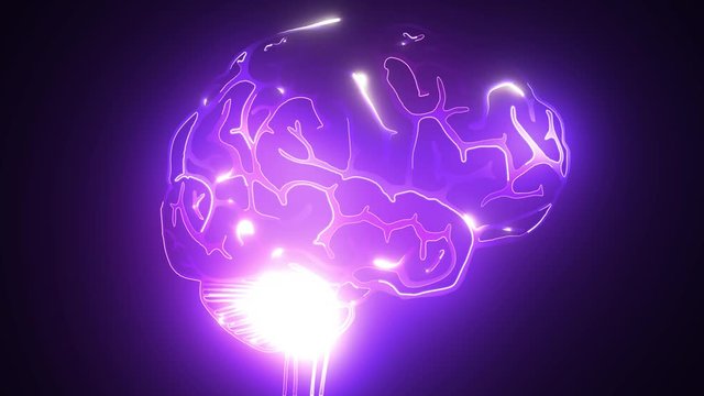 Human Brain Laser Animation Video