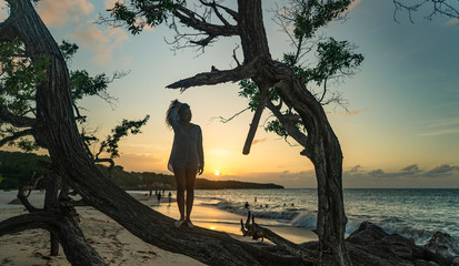 sous le soleil cubain