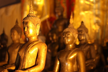 golden buddha