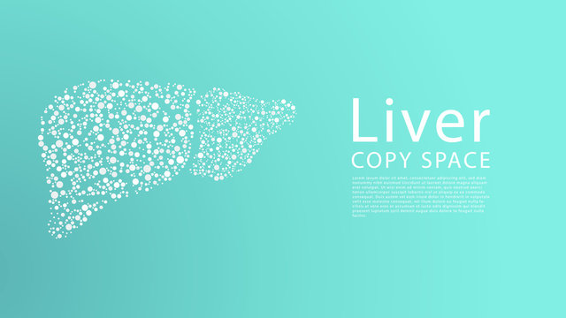 Abstract Image Of A Human Liver In The Form Of A Dots, Illustration Vector. 