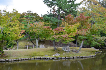 奈良公園　風景