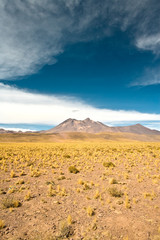 Cerro Miniques (Miniques hill) in the Altiplano (high Andean Plateau), Los Flamencos National Reserve, Atacama desert, Antofagasta Region, Chile, South America