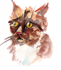 watercolor scared indignant perplexed ginger cat
