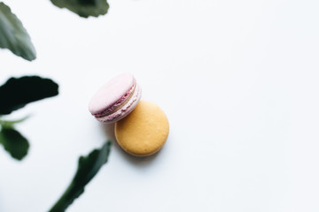 Composition of delicious colorful macaroon