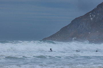 Winter surfers in Lofoten islands in Norway