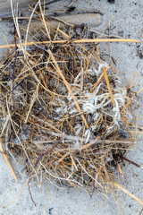 Environmental pollution - an old white cord and ist catches, lying on the beach as waste