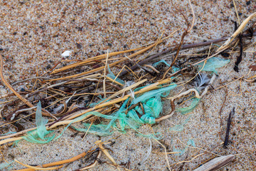 Environmental pollution - green plastic fibers and its catches, lying on the beach as waste